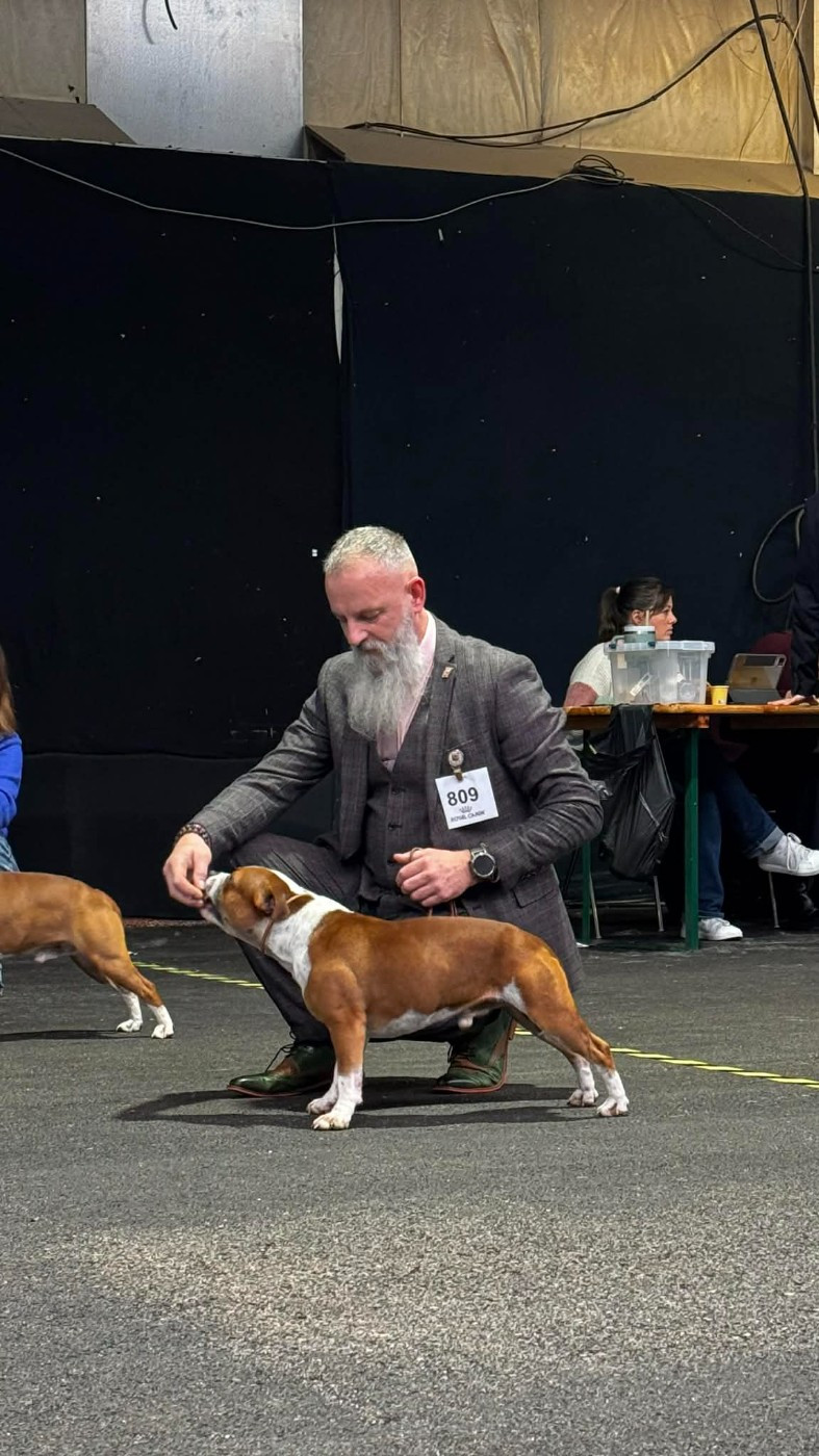 CH. Vlad l'empaleur  Des Dunes De Valenpierre