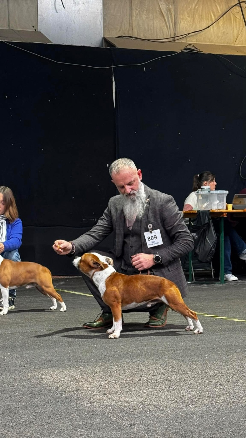 Vlad l empailleur des dunes de Valenpierre ( mâle reproducteur